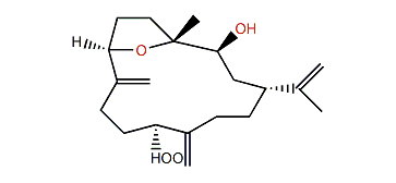 Sinulerectol C